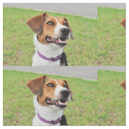 Tecido Beagle
