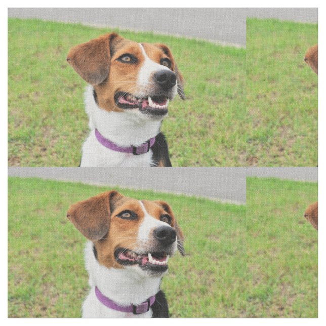 Tecido Beagle (Detalhe)