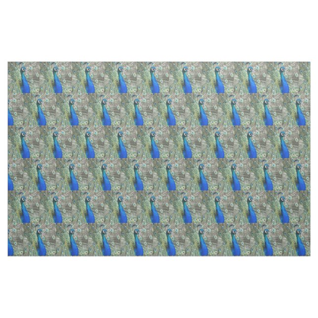 Tecido Belo Penas de Pavão Azul (Fat Quarter)