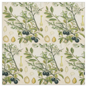 Tecido Berry Impressão Botânico Antiquado Blackthorn