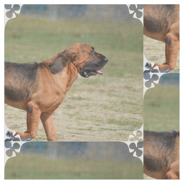 Tecido Bloodhound (Detalhe)