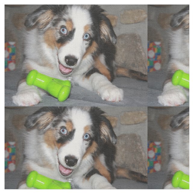 Tecido blue merle cachorro.png (Detalhe)