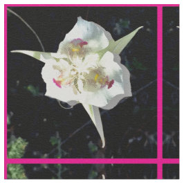 Tecido Bonito a rosa