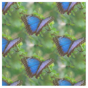 Tecido Borboleta Azul