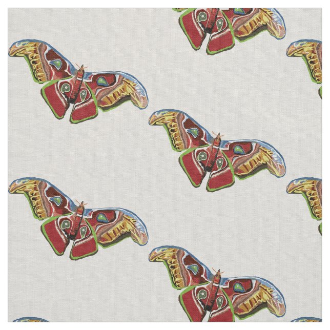 Tecido Borboleta bonita (Modelo)