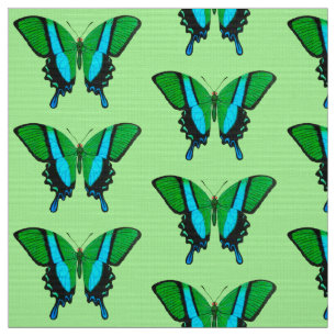 Tecido Borboleta de Swallowtail no verde, na turquesa &