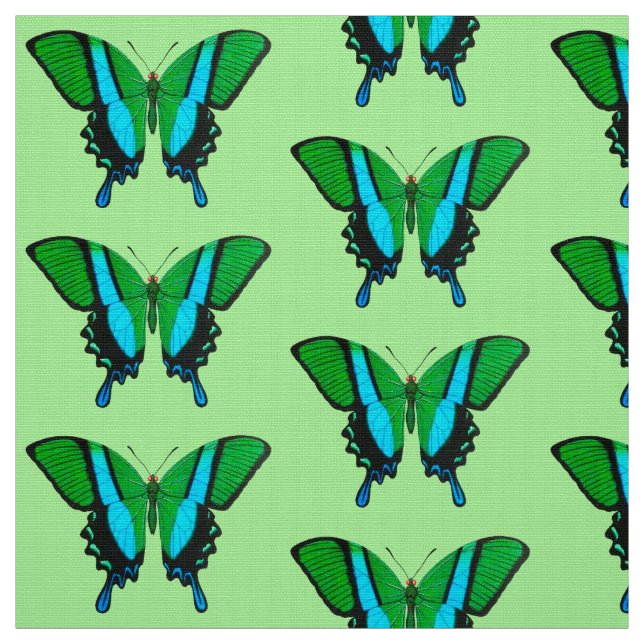 Tecido Borboleta-delta em verde, turquesa e preto (Modelo)