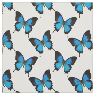 Tecido Borboleta-do-mato-azul-montanha