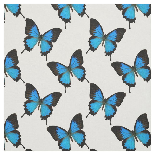 Tecido Borboleta-do-mato-azul-montanha (Modelo)