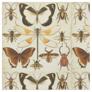 Tecido Borboleta Entomológica Insetos Vintage Papel Anti