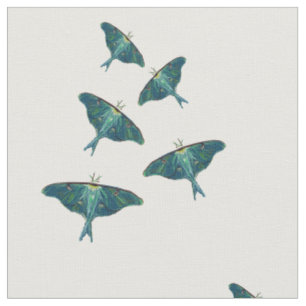 Tecido Borboleta-mariposa
