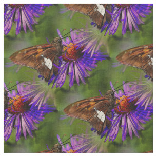 Tecido Borboleta Na Arte Da Natureza Da Flor