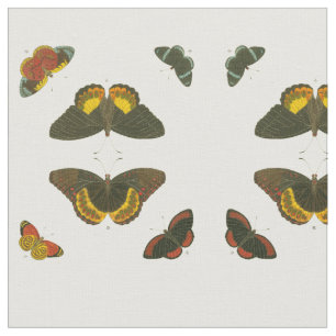 Tecido Borboletas brilhantes por Pieter Cramer