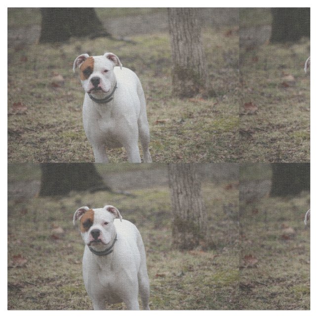 Tecido Boxer (Detalhe)