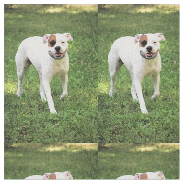 Tecido Boxer (Detalhe)