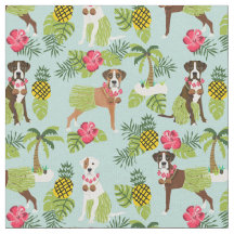 Boxer Cão azul-claro tropical