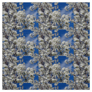 Tecido Bradford Pear Blooms