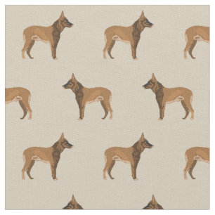 Tecido Bran belga Malinois