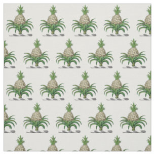 Tecido Brasão de Armas Crest Pineapple Heraldico Préppy