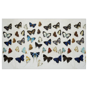 Tecido BROWN BRANCO BLUE BUTTERFLIS Beauty Nature Lover