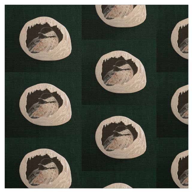 Tecido Brrr Chickadee (Modelo)