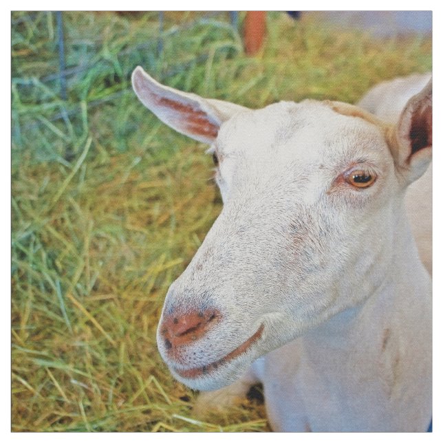 Tecido Cabra branca (Modelo)