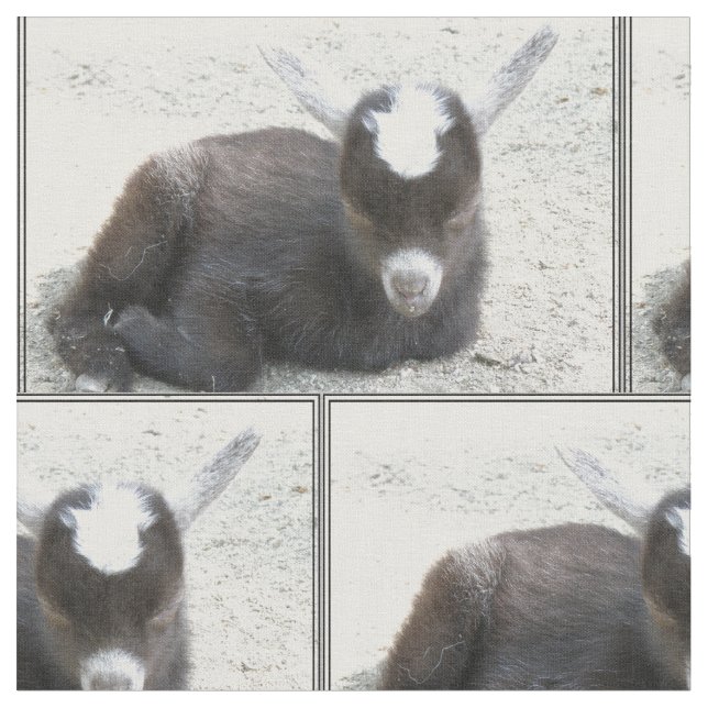 Tecido Cabra do miúdo (Detalhe)