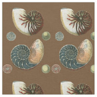 Cacau Shell