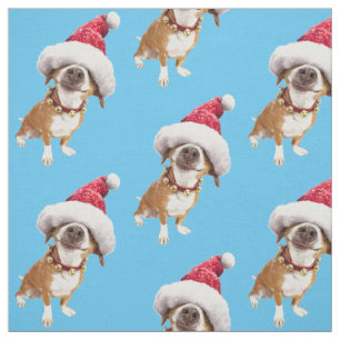 Tecido Cachorro Com Grande Chapéu De Papai Noel