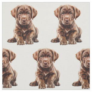 Tecido Cachorro Labrador Retriever Chocolate