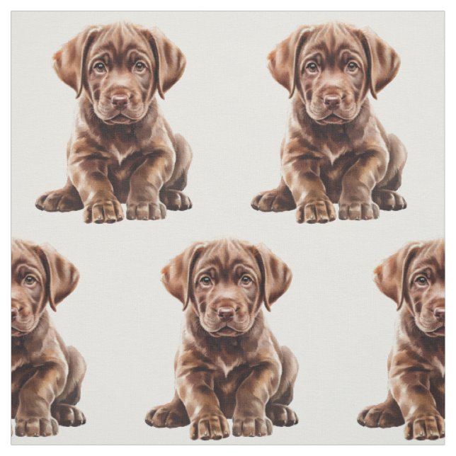 Tecido Cachorro Labrador Retriever Chocolate  (Modelo)