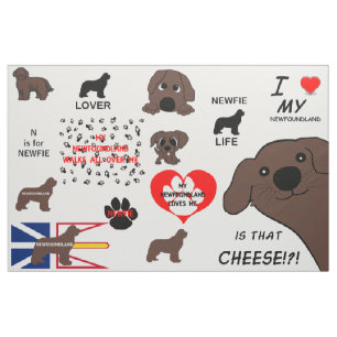 Tecido Cachorro Terra Nova Marrom É Queijo