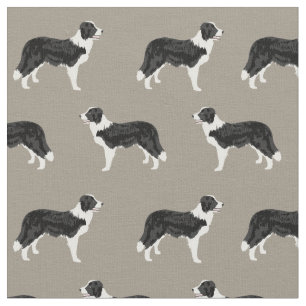 Tecido Cães Collie da fronteira