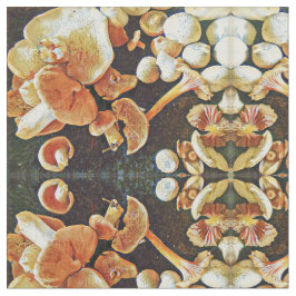 Tecido Caleidoscópio comestível dos cogumelos