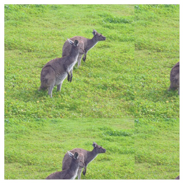 Tecido Cangurus Australianos em Pastagem Verde, (Detalhe)