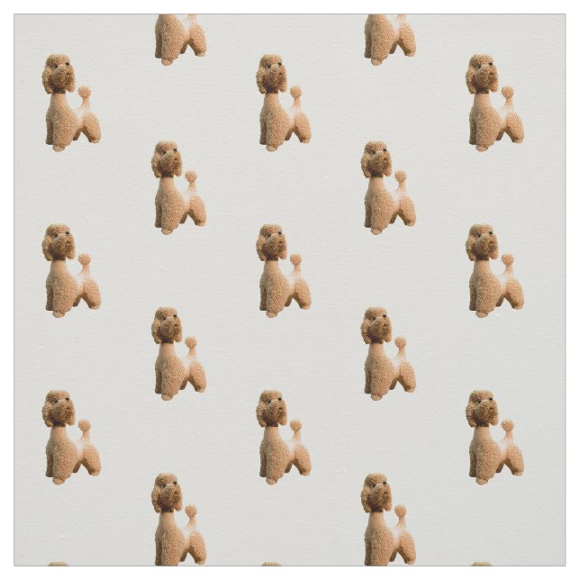 Tecido Caniche cor-de-rosa retro (Modelo)