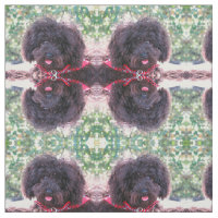Caniche diminuta preta