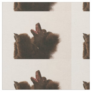 Tecido caniche preta dancing.png