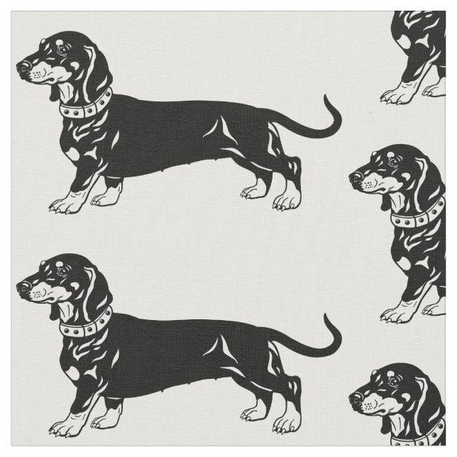 Tecido cão-dachshund (Detalhe)