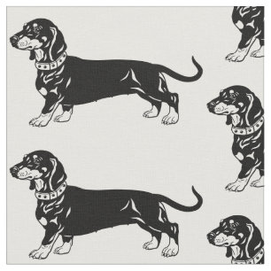 Tecido cão-dachshund liso