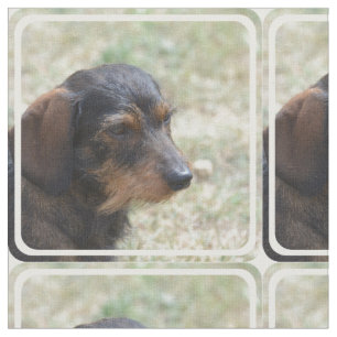Tecido Cão de cabelo de Daschund do fio