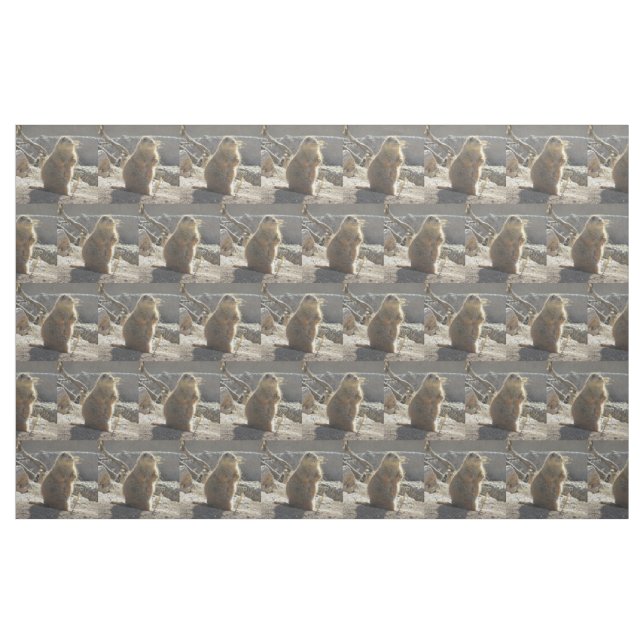 Tecido Cão de pradaria (Fat Quarter)