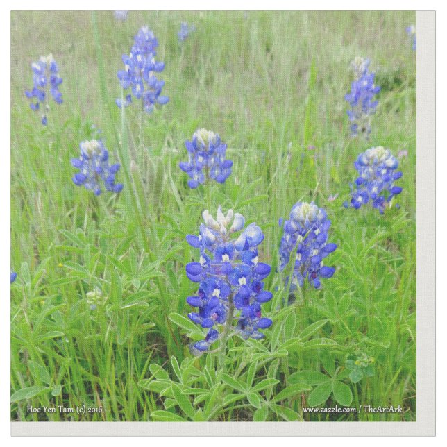 Tecido - capotas azuis (Detalhe)