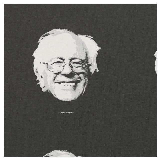 Tecido Cara das máquinas de lixar de Bernie (Detalhe)