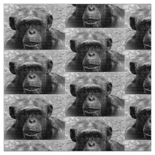 Tecido Cara do chimpanzé, grande caráter, preto e branc