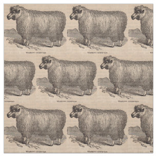 Tecido Carneiros de um ano de Cotswold do impressão do