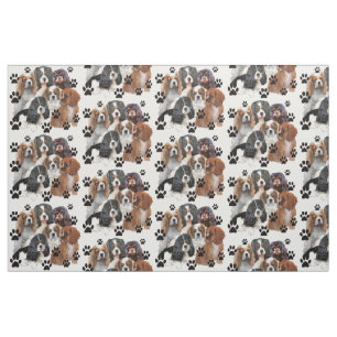 Tecido Cavalier Spaniel Colors
