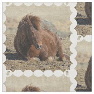 Tecido Cavalo islandês