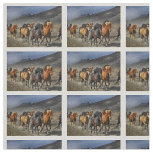 Tecido Cavalos selvagens