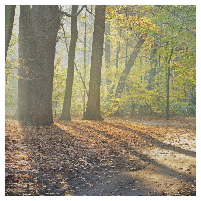 Tecido Cena elegante da floresta (Modelo)